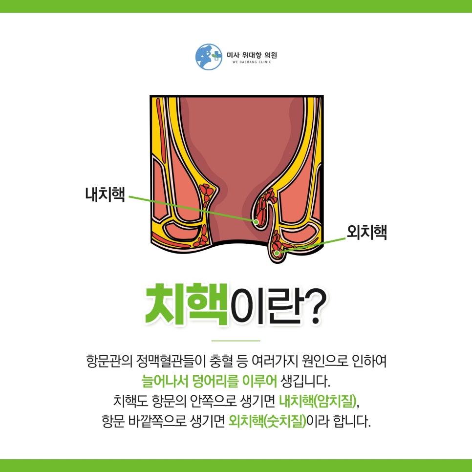 미사위대항의원 이미지