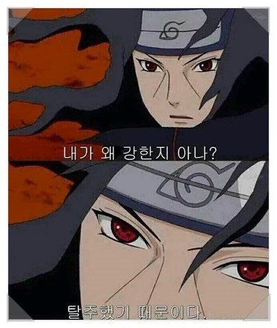 금재 이미지
