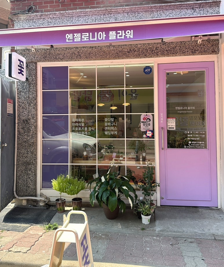 엔젤로니아플라워 이미지