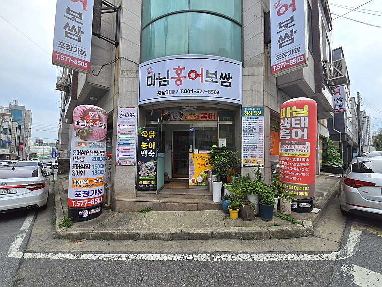 마님생태홍어 이미지