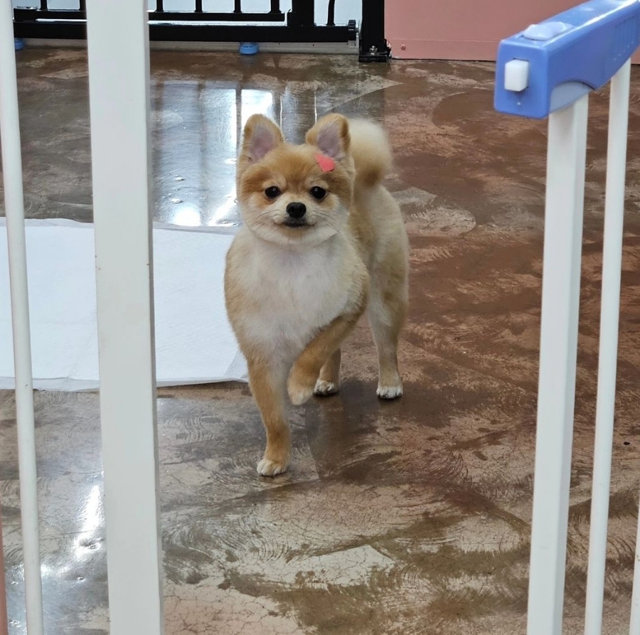 백천미용실 이미지