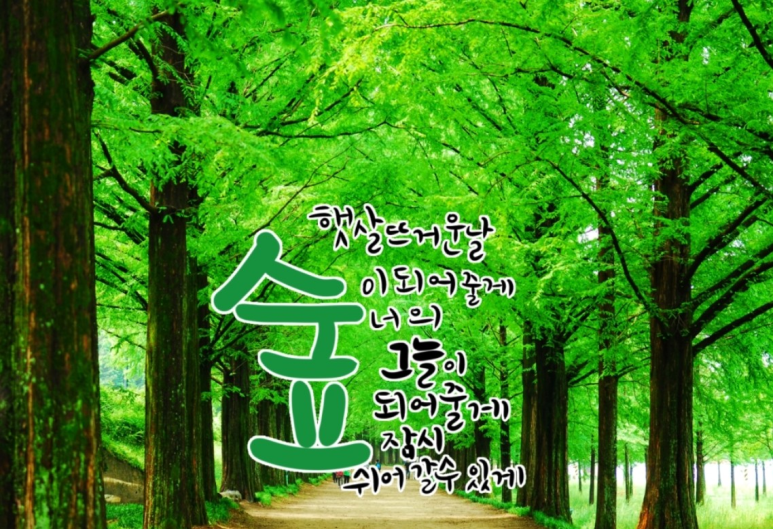 청정지대 이미지