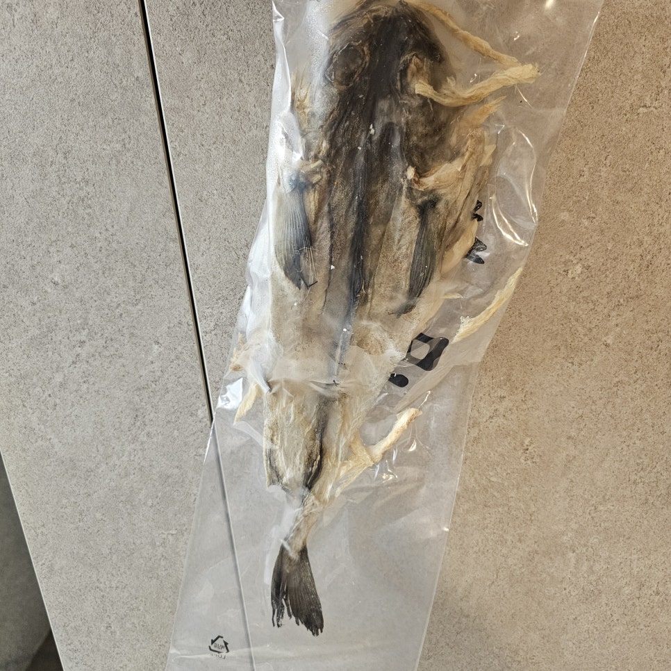 먹태언니 이미지