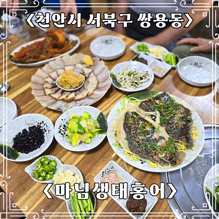 마님생태홍어 이미지