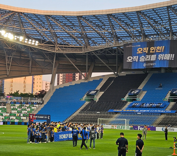 축구보는닭 이미지