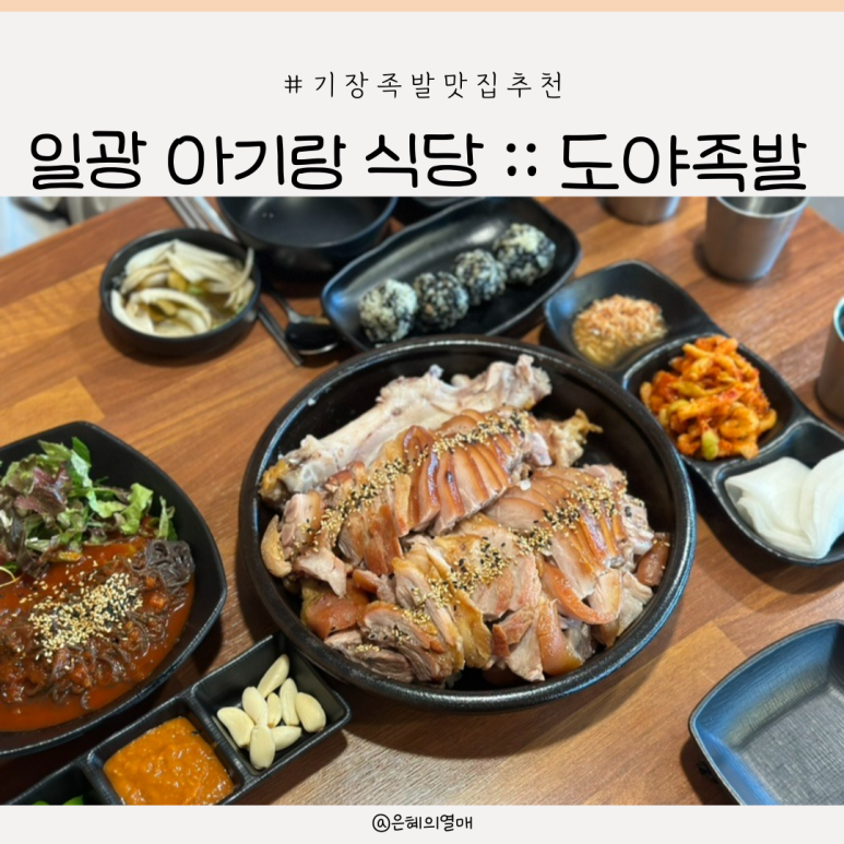 도야족발보쌈일광 이미지