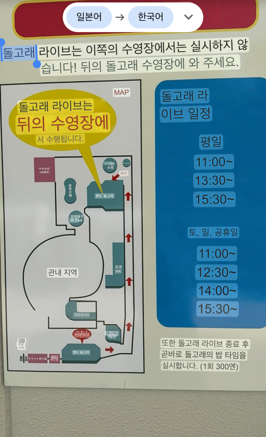 라이브야시 이미지