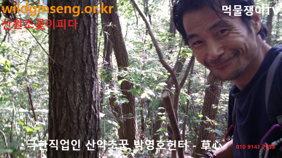 와일드진생 이미지