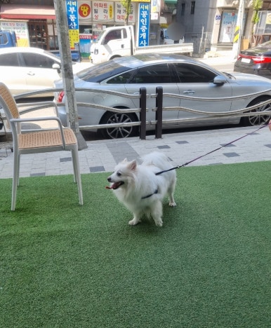리터킹 이미지