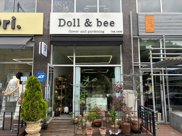 돌앤비 이미지