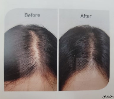 도트바이림 이미지