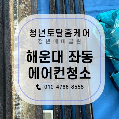 윈츠 이미지