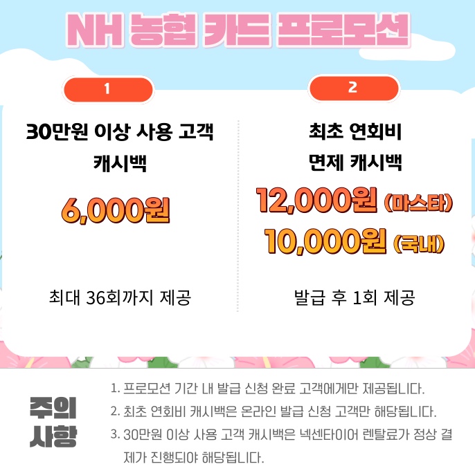 수지랜탈 이미지