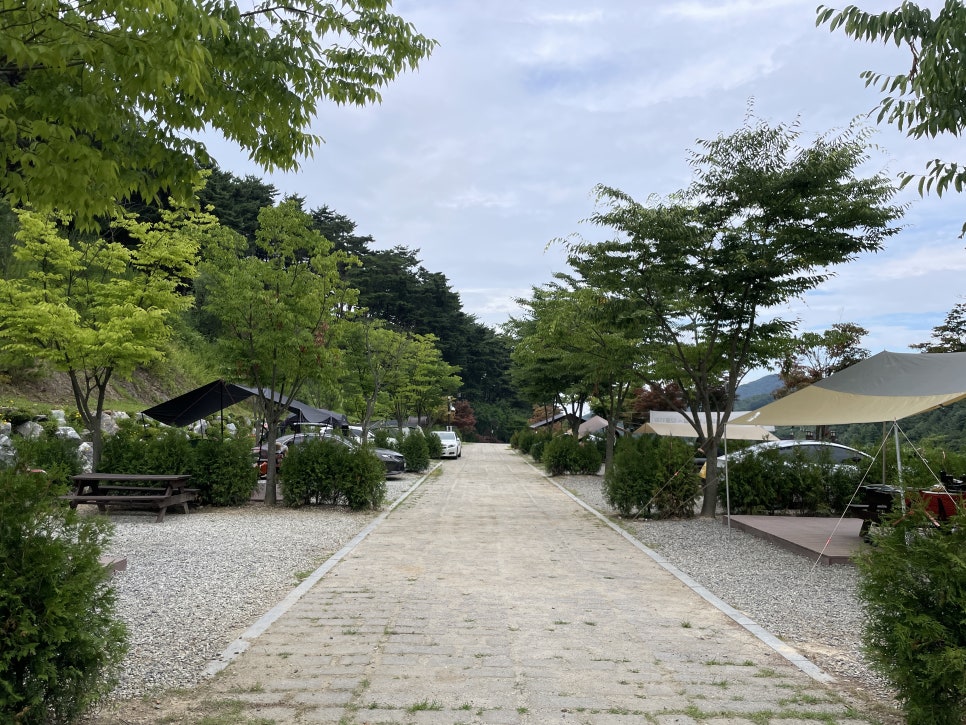 서운산 자연휴양림 일반야영장 이미지