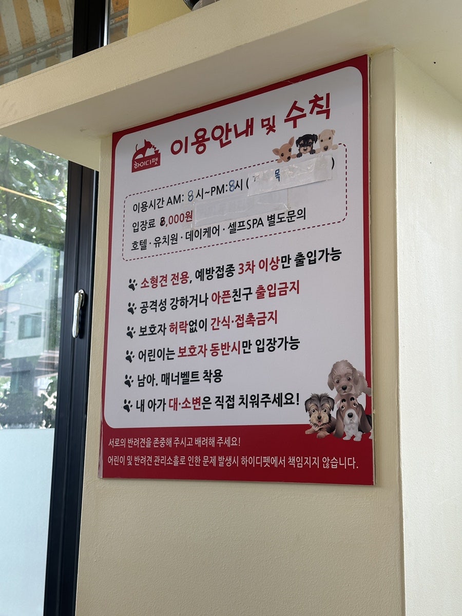 동탄 애견카페 하이디펫, 강아지 사회성 키우는 유치원 — 사진 7