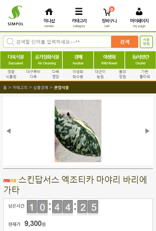 묘한정원 이미지
