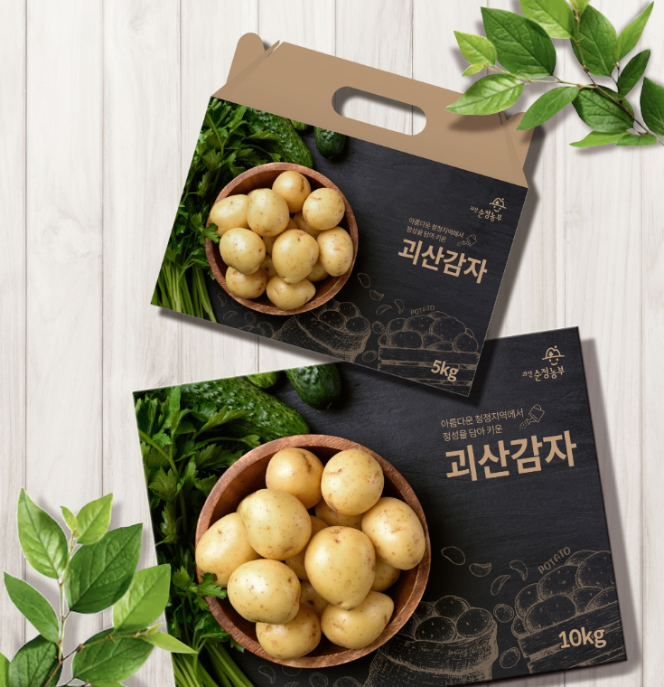 디자인감자 이미지