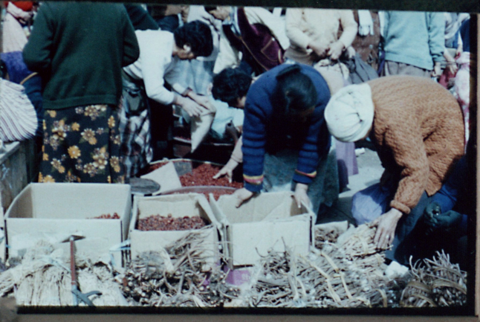 금산수삼시장(주) 이미지