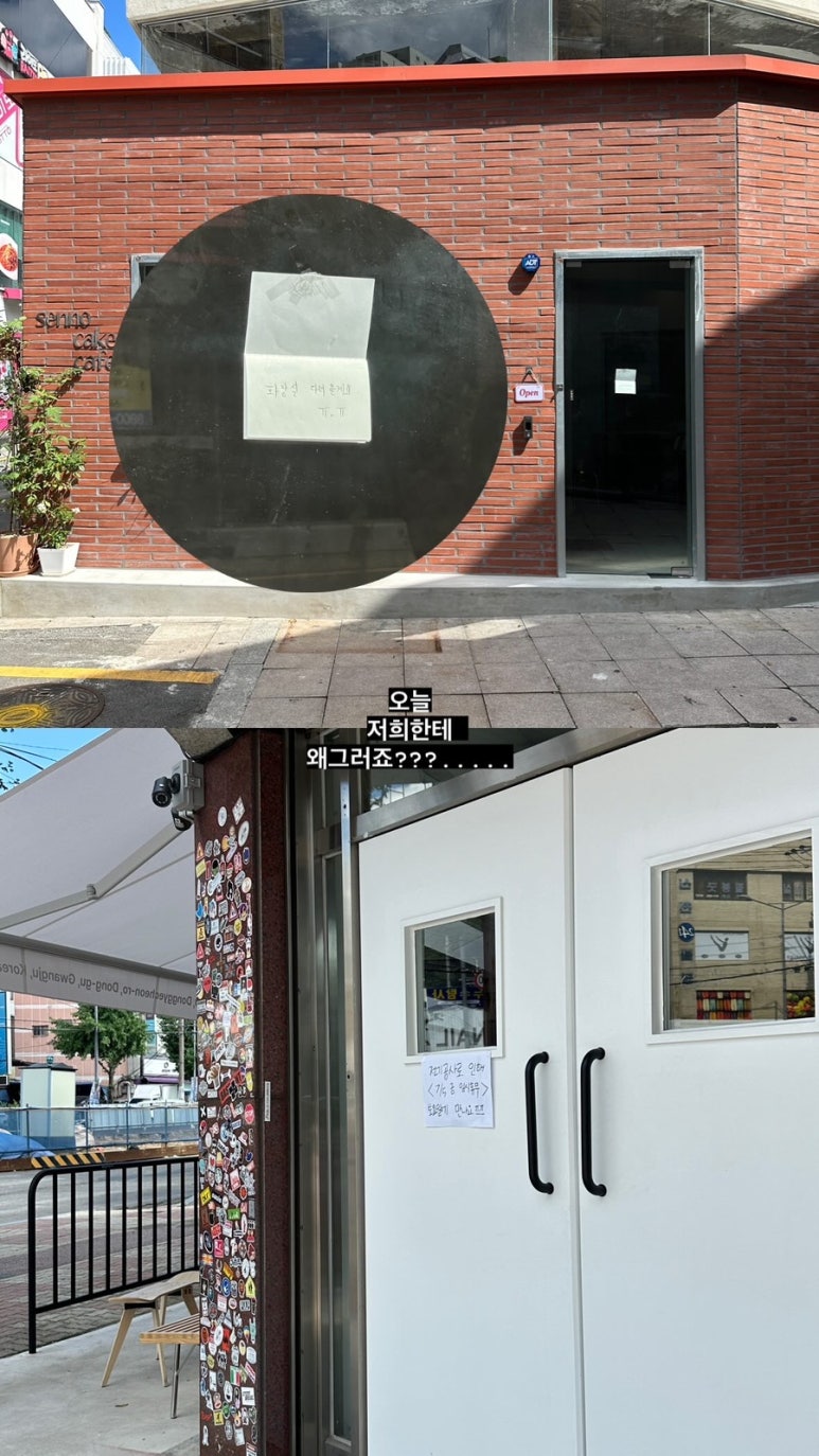 센노케이크 이미지