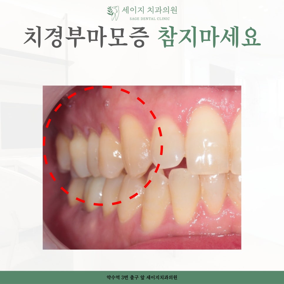 세이지치과의원 이미지