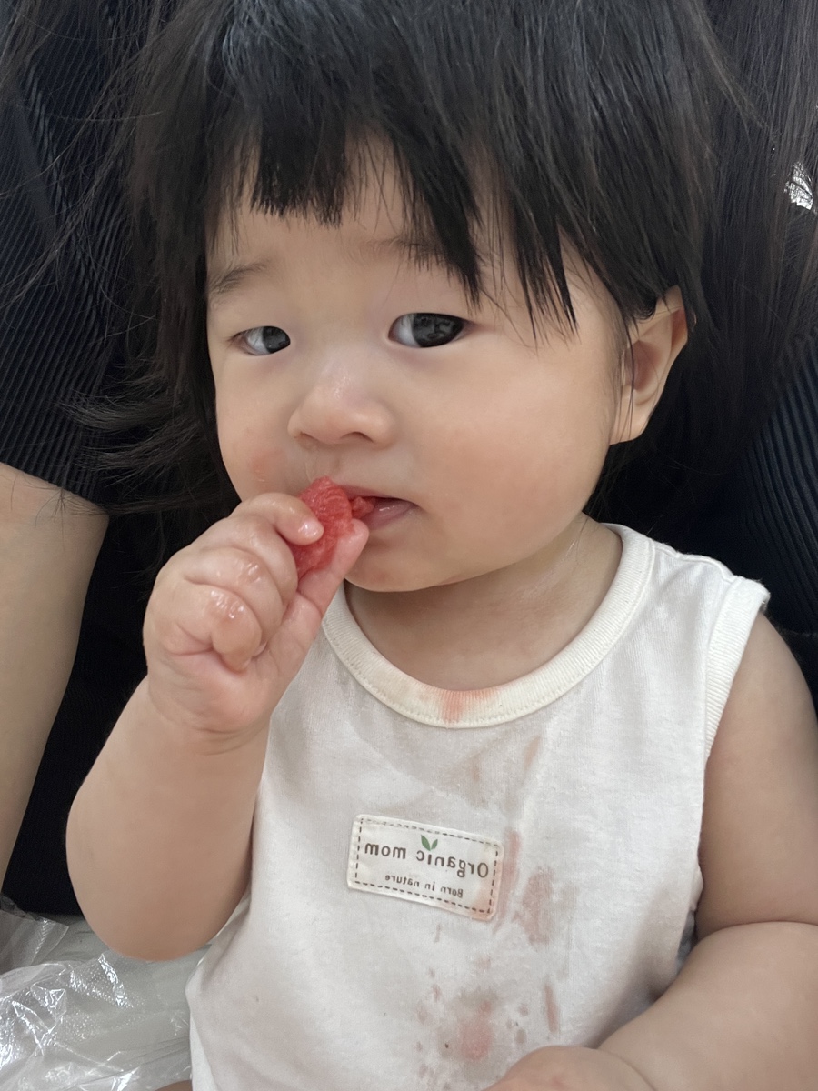 날아라킹콩 이미지