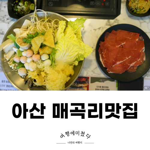 퐁당 탕정점 이미지