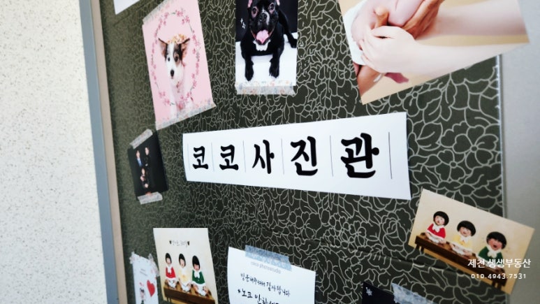 코코사진관 이미지