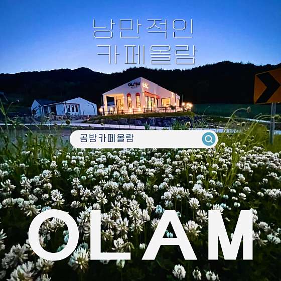 올람 이미지