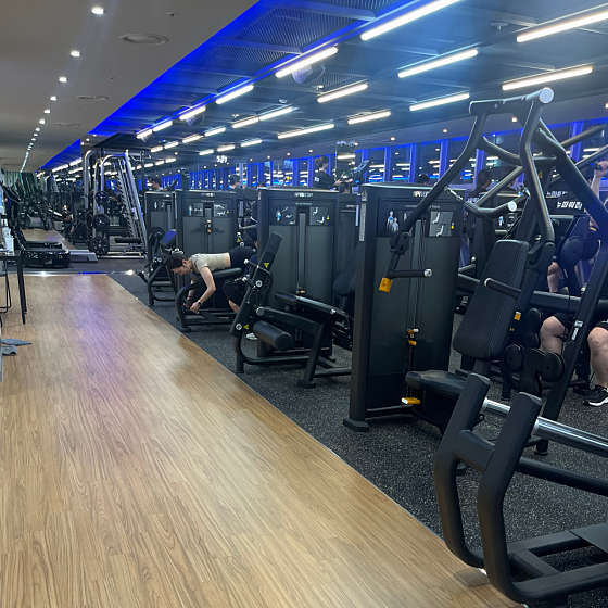 뉴파워짐 이미지