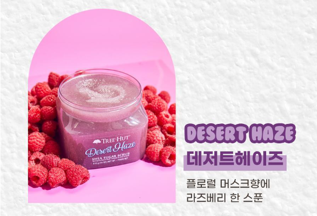 슈가트리 이미지