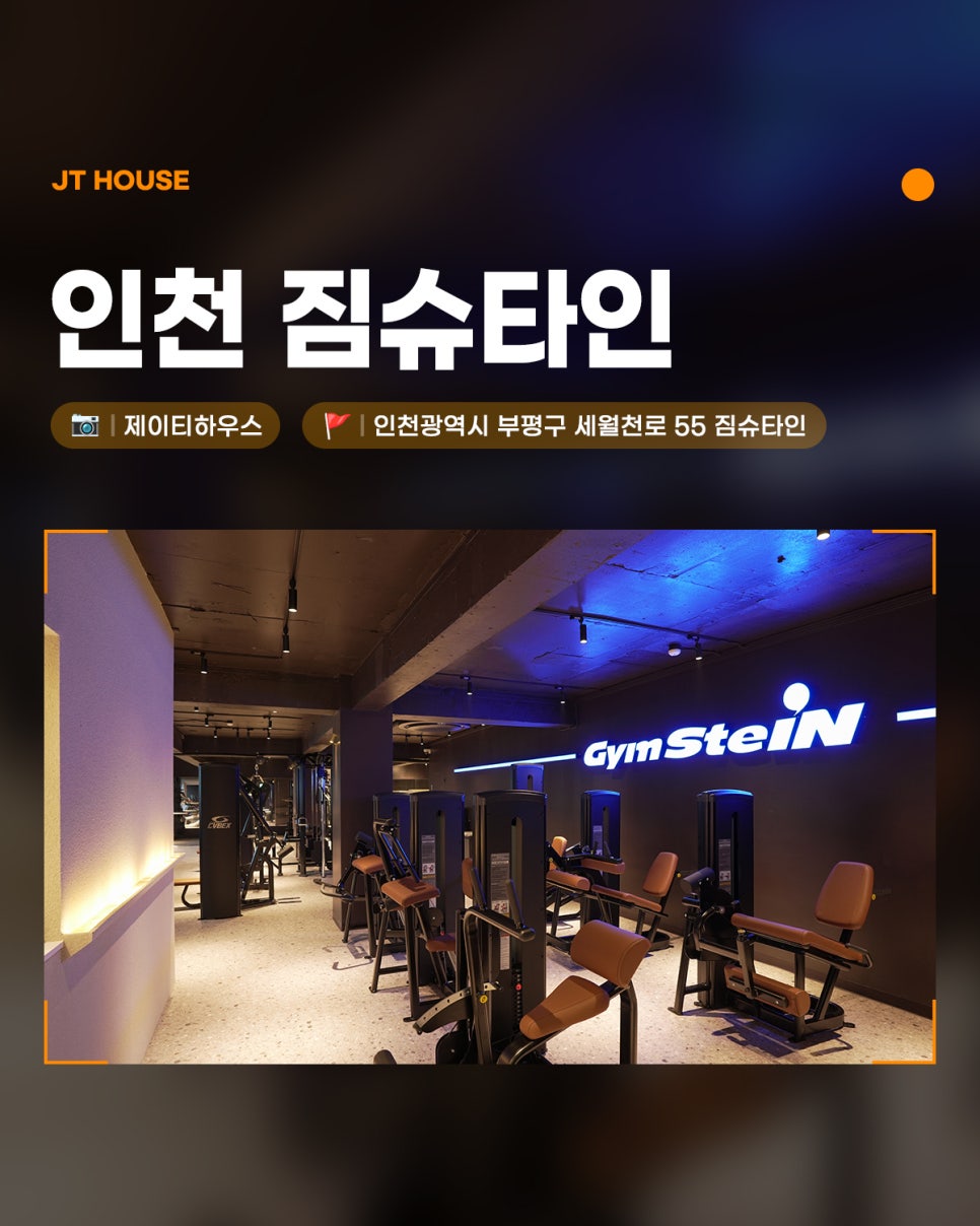 짐슈타인 이미지