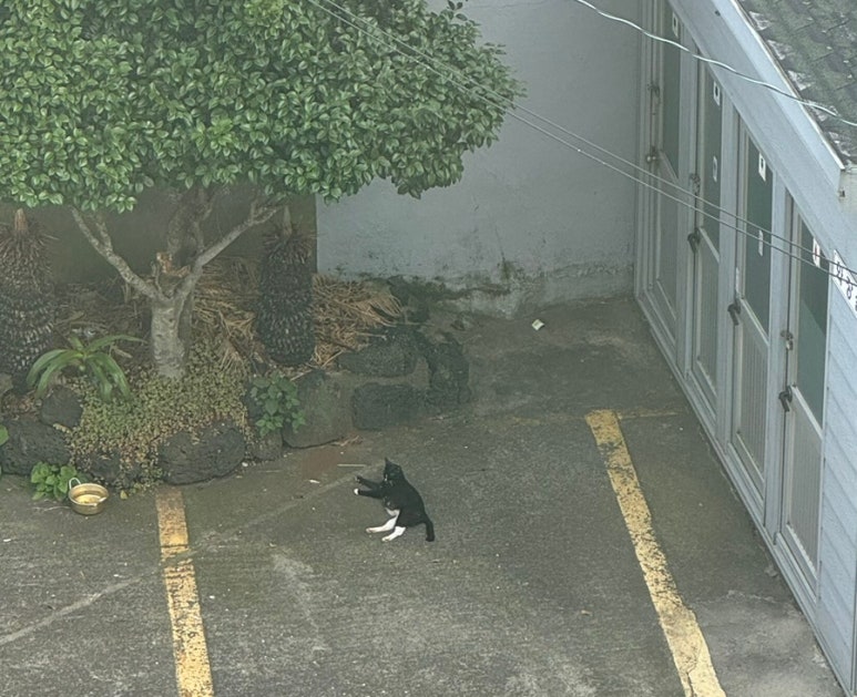 보름수산 이미지