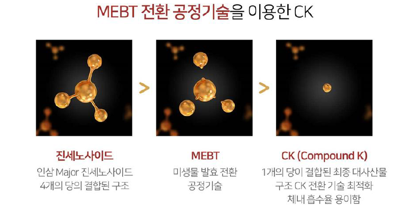 와이씨케이 이미지