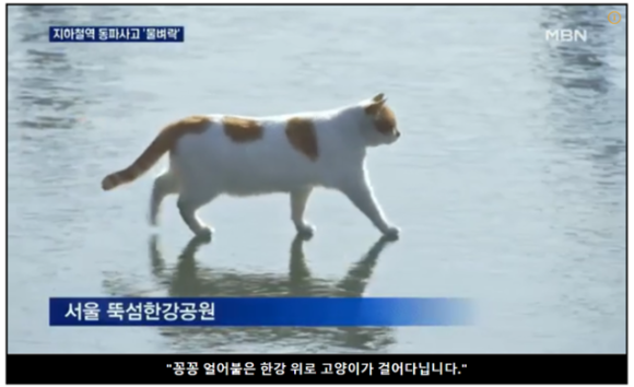 반주(밥 그리고 술) 이미지