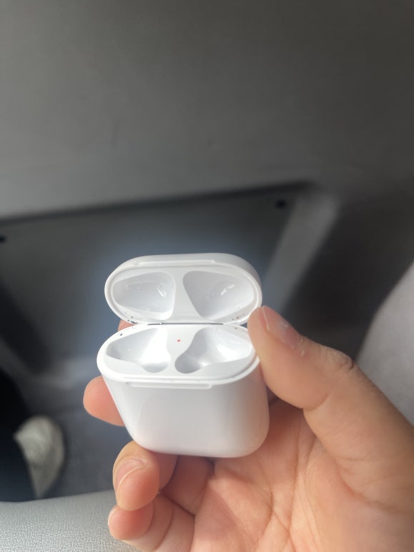 블룸더엘 이미지