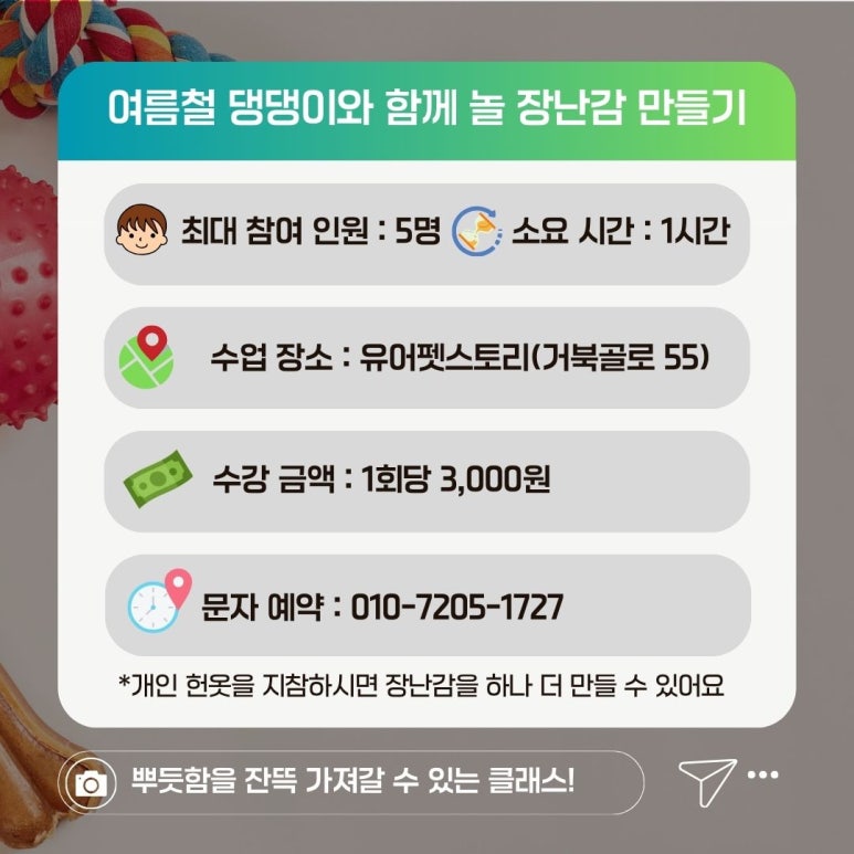 유어펫스토리 이미지