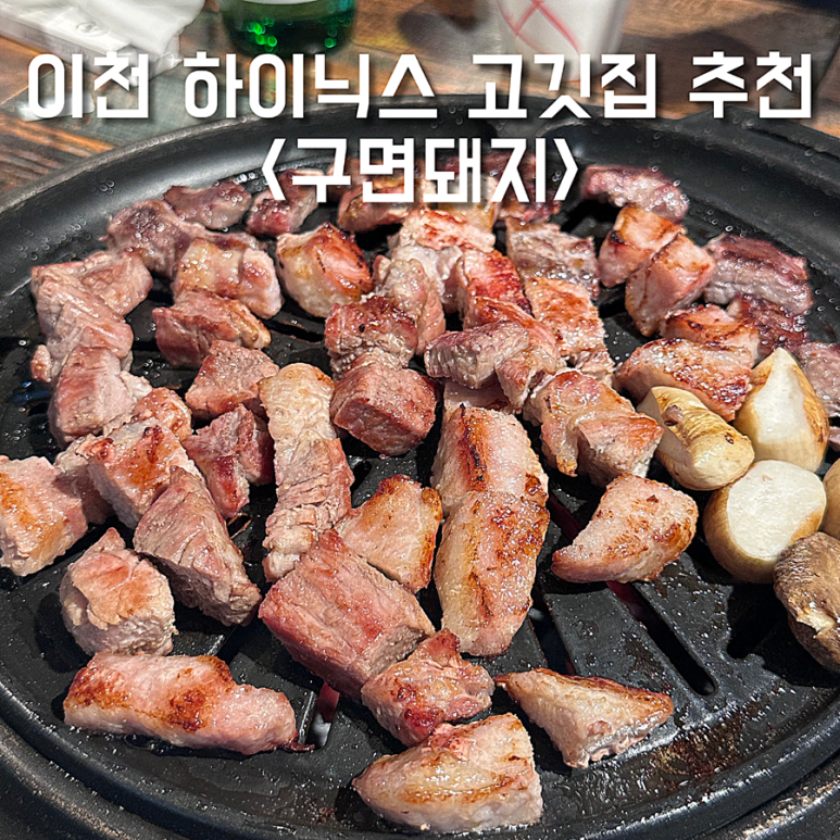 구면돼지 이미지