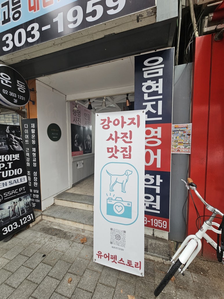유어펫스토리 이미지