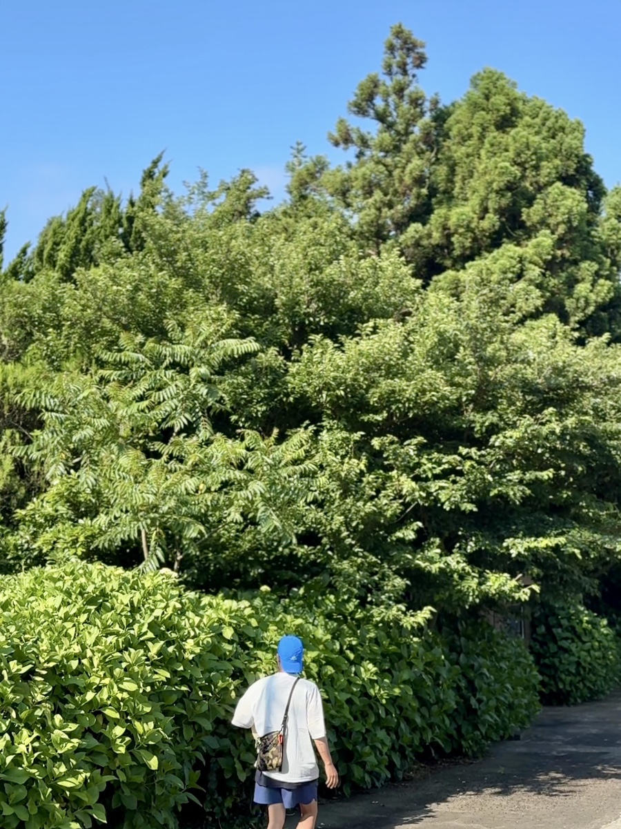 성이시돌젊음의집 이미지