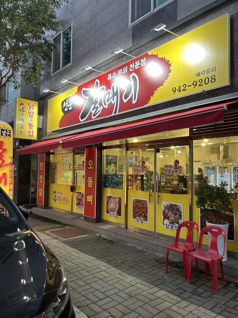 선운갈매기 이미지