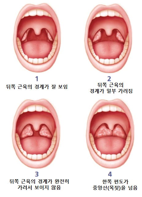 서현숲가정의학과의원 이미지