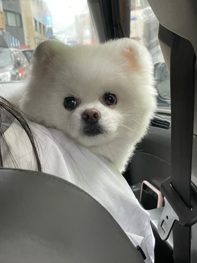 초밥잇수다 이미지