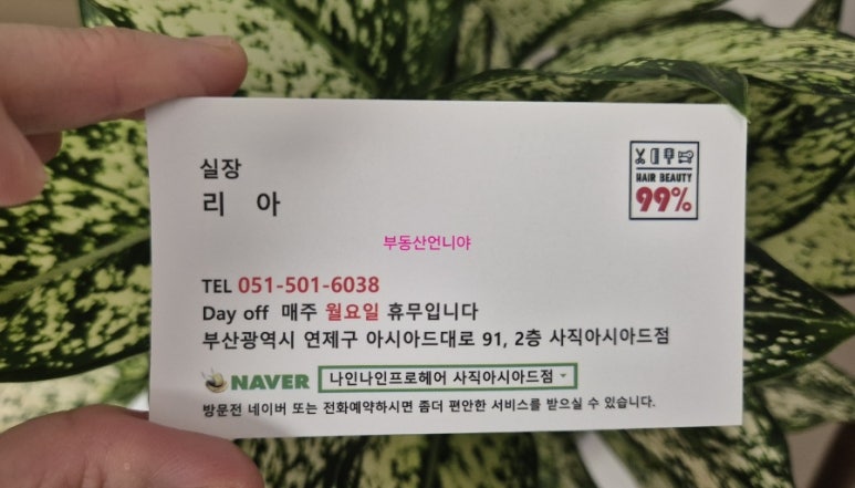 나인프로헤어 이미지