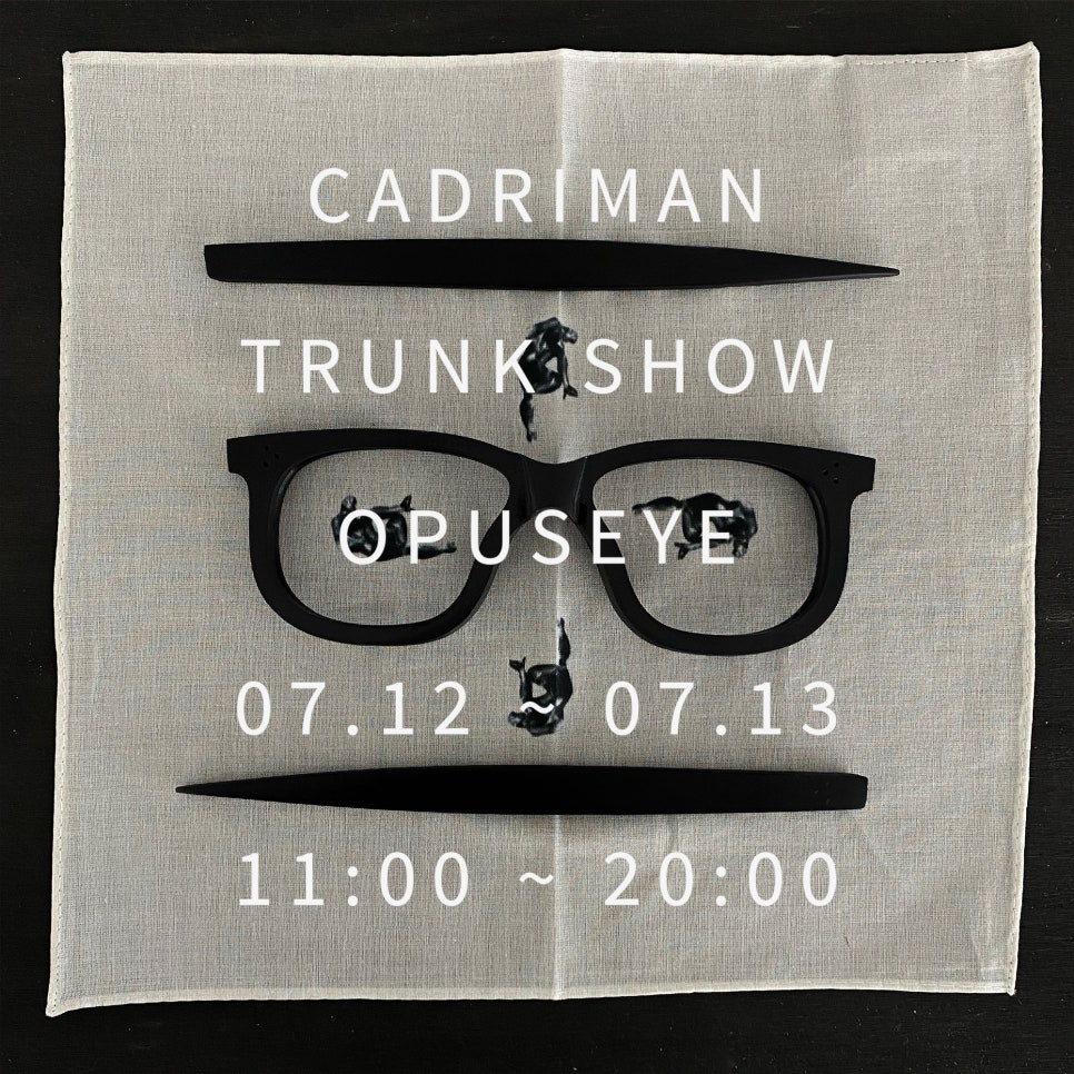 캐드리맨(CADRIMAN) 이미지