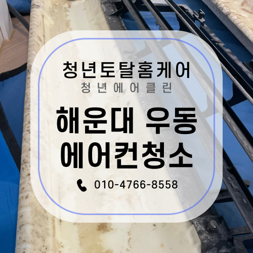에이치(H)클린 이미지