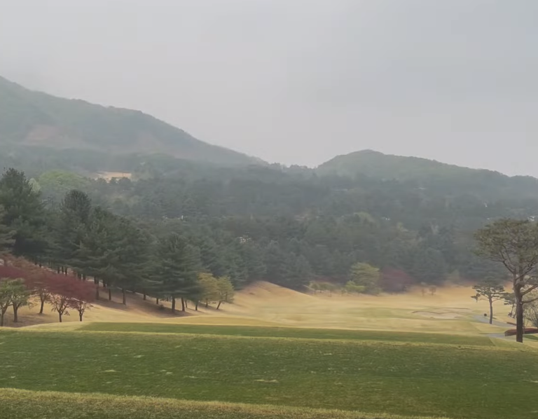 구좌주유소 이미지