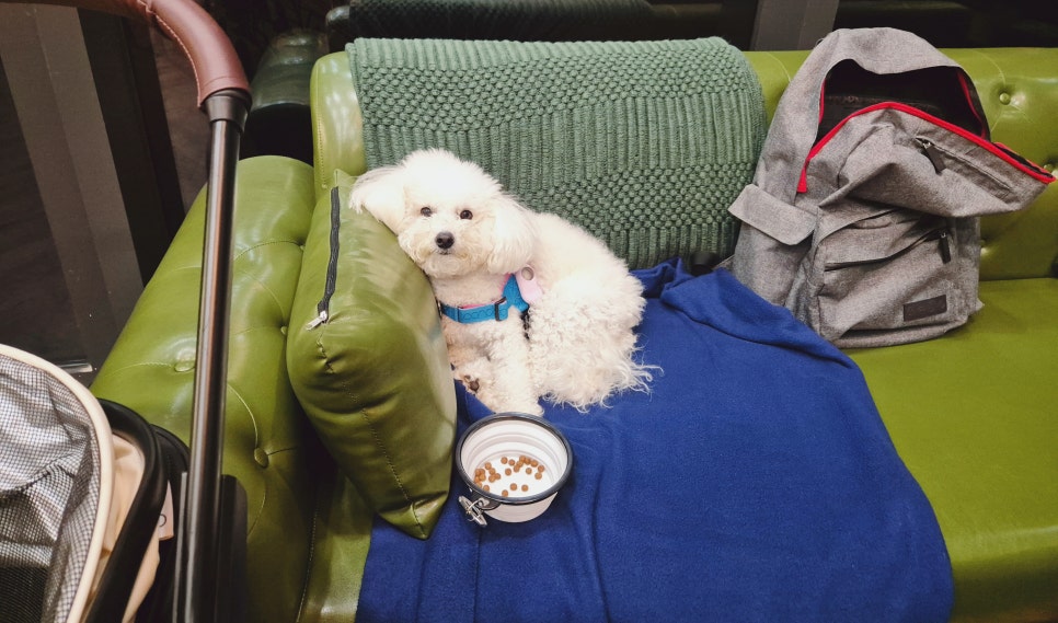 고블린바버샵 이미지