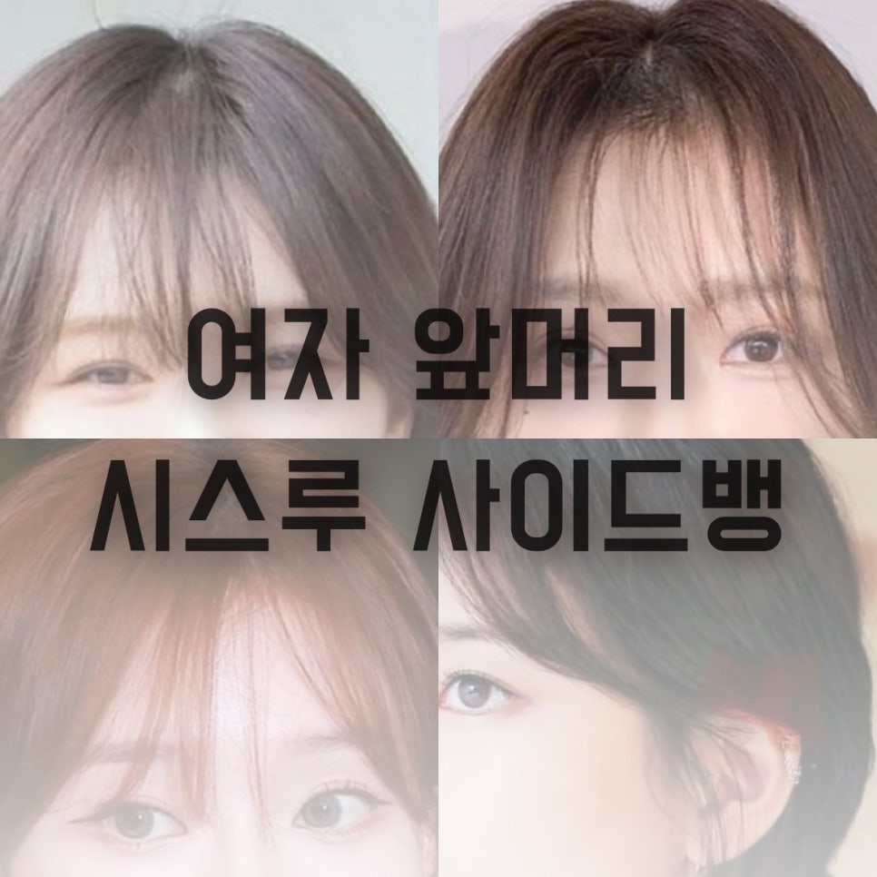 여자 앞머리 헤어 스타일 시스루 사이드 뱅 종류 및 펌 : 네이버 블로그