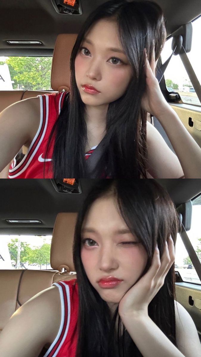 벨리티 이미지