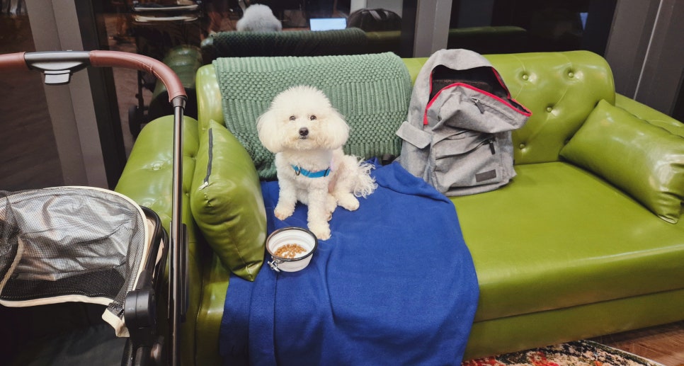 고블린바버샵 이미지